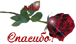 Спасибо! Лежти красная роза гифка анимация смайлик