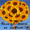  (   )    