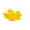 Желтый осенний лист клена Анимация гиф картинка смайлик