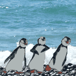 Пингвины танцуют на берегу моря гифка анимация смайлик