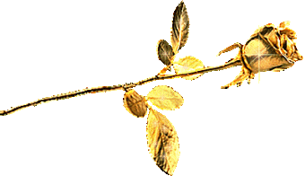 ������� ���� �������� ��� �������� �������